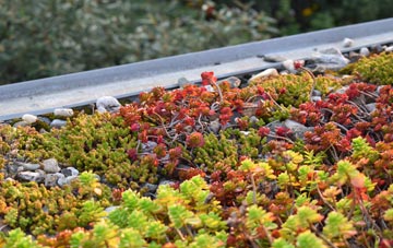 the cost of Langley Heath green roof installation