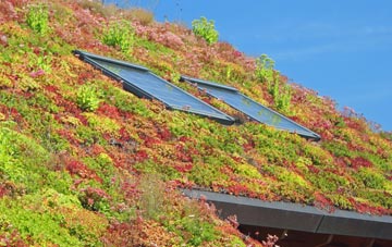 Langley Heath living roof systems